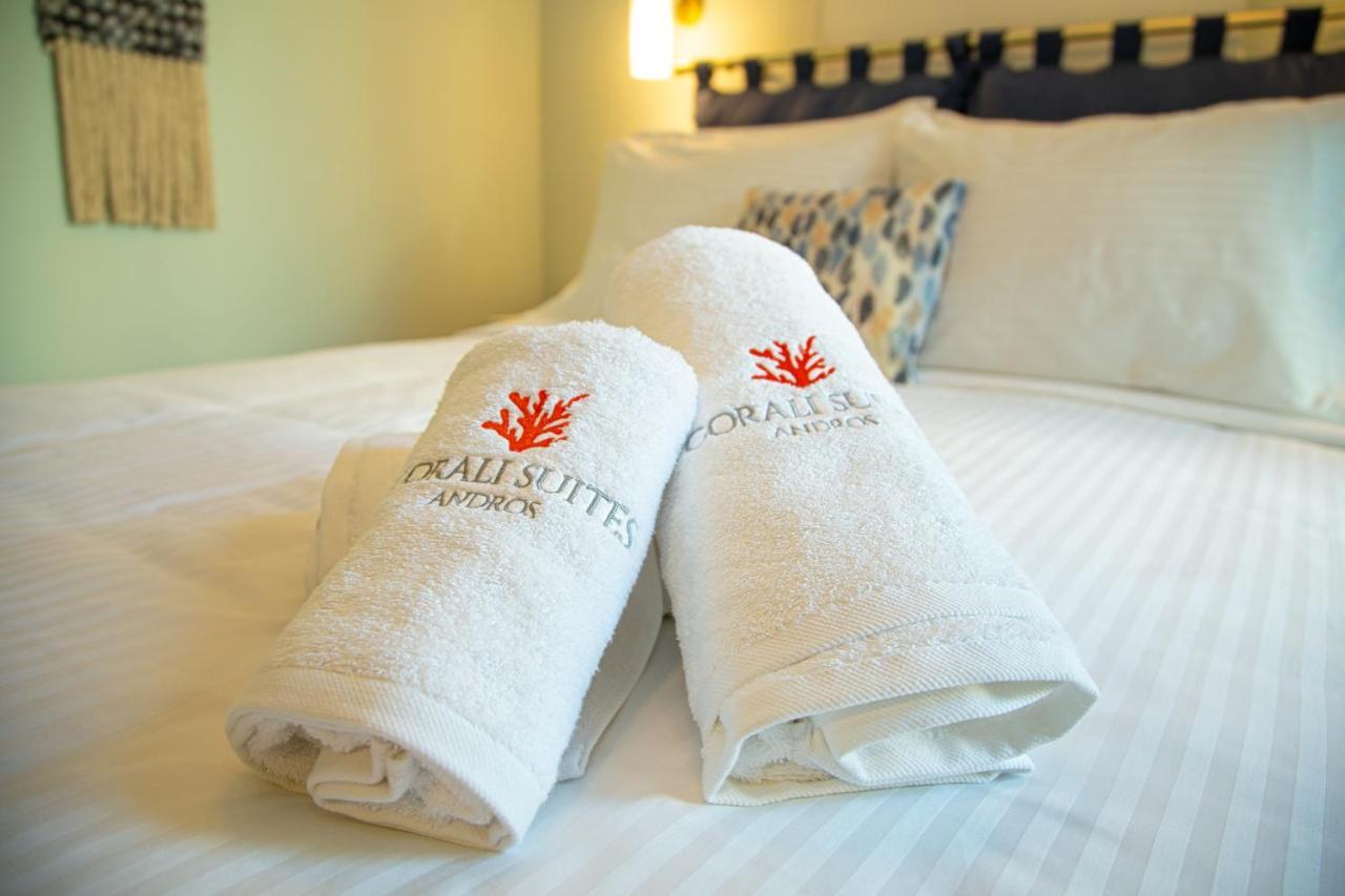 Corali Suites Andros 巴特斯欧 外观 照片